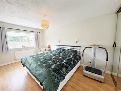Picture 20